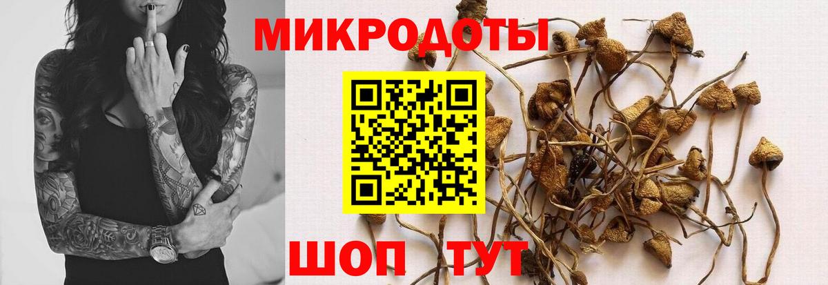 Галлюциногенные грибы Psilocybine cubensis  купить наркоту  Нижний Новгород  Галлюциногенные грибы мухоморы  Вход с VPN 